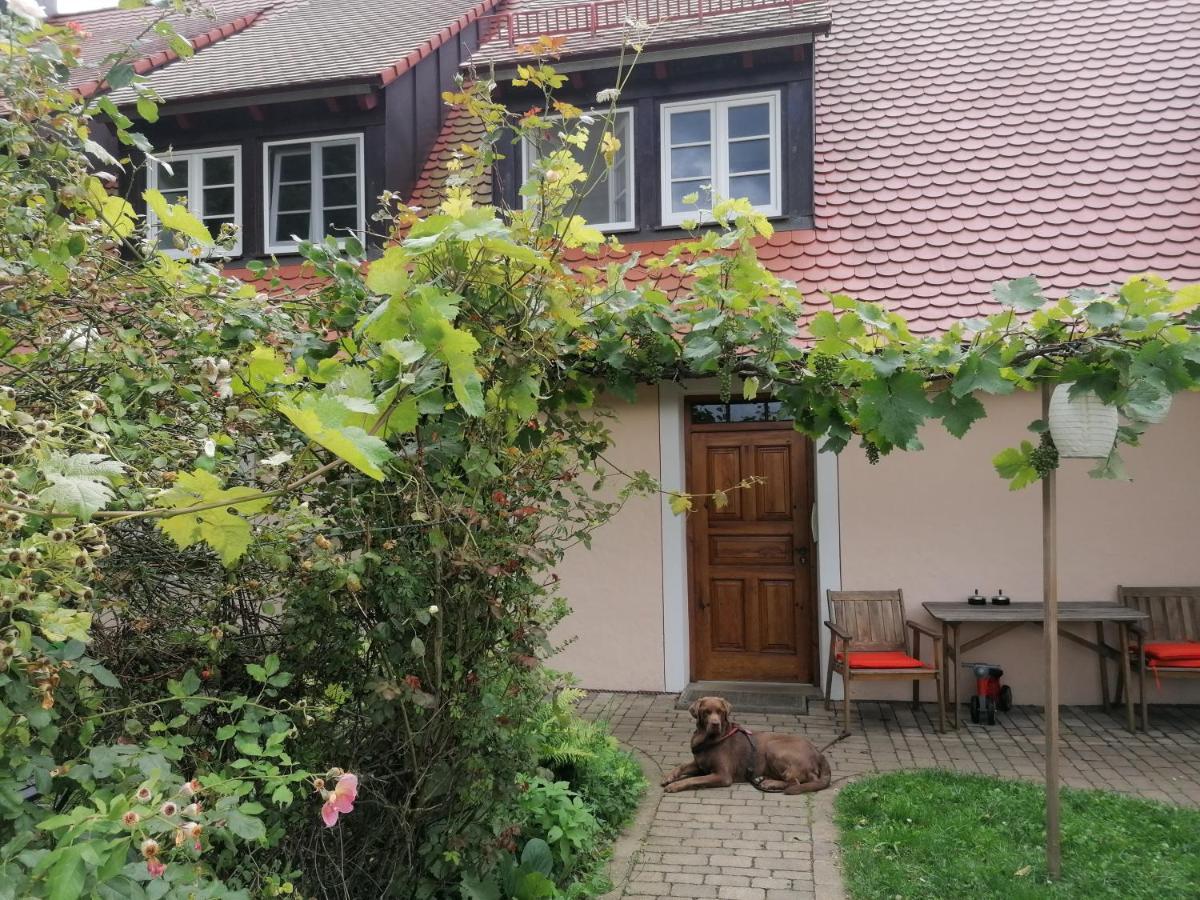 Ferienwohnungen Wastl Fraenkische Schweiz Hiltpoltstein Ngoại thất bức ảnh